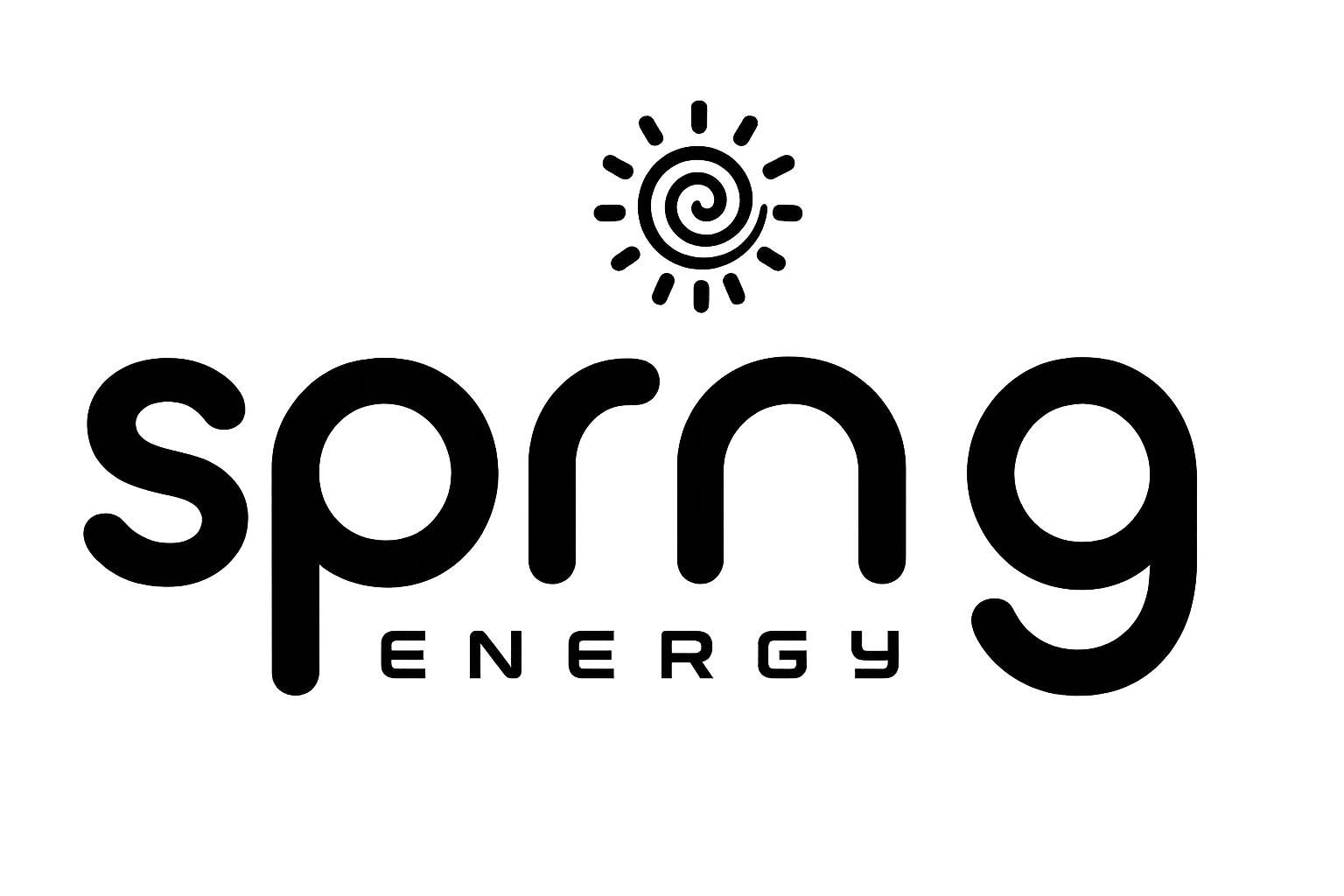 sprng Partner Logo